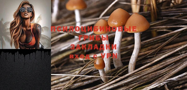 дмт Алексеевка
