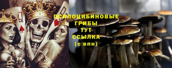 дмт Алексеевка