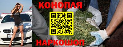спиды Гусев