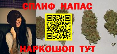 спиды Гусев