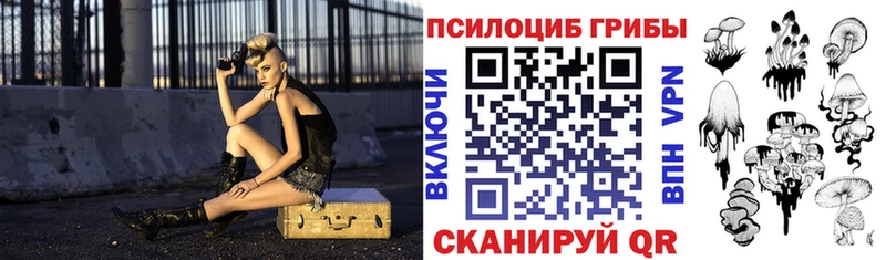 Псилоцибиновые грибы MAGIC MUSHROOMS  мега ТОР  Магадан 