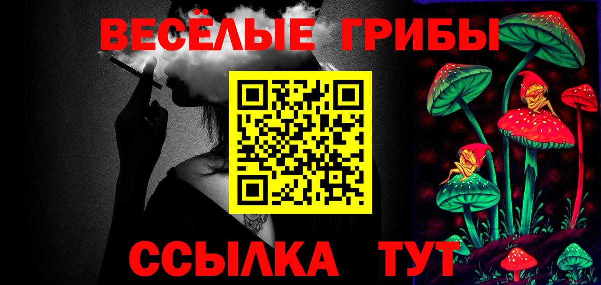 Галлюциногенные грибы MAGIC MUSHROOMS  Вход с VPN  Магадан  Псилоцибиновые грибы прущие грибы 